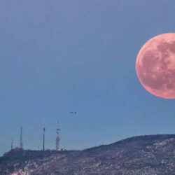 Pink moon 2024